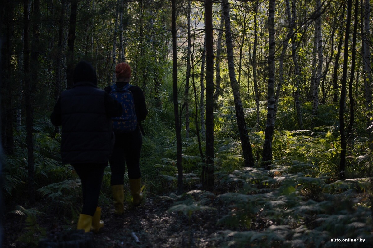 Путешествия Onliner.by с Bestune T77. Рассвет на болоте, царь-сосна и барсучьи норы. Вместе с королевой Полесья исследуем долину Припяти на FAW BESTUNE T77 Путешествия Onliner.by с Bestune T77. Рассвет на болоте, царь-сосна и барсучьи норы. Вместе с королевой Полесья исследуем долину Припяти на FAW BESTUNE T77