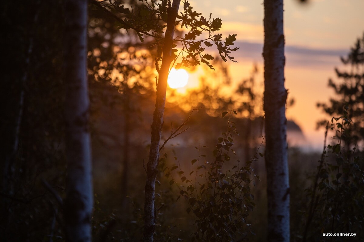 Путешествия Onliner.by с Bestune T77. Рассвет на болоте, царь-сосна и барсучьи норы. Вместе с королевой Полесья исследуем долину Припяти на FAW BESTUNE T77 Путешествия Onliner.by с Bestune T77. Рассвет на болоте, царь-сосна и барсучьи норы. Вместе с королевой Полесья исследуем долину Припяти на FAW BESTUNE T77