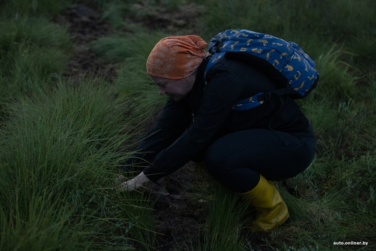 Путешествия Onliner.by с Bestune T77. Рассвет на болоте, царь-сосна и барсучьи норы. Вместе с королевой Полесья исследуем долину Припяти на FAW BESTUNE T77 Путешествия Onliner.by с Bestune T77. Рассвет на болоте, царь-сосна и барсучьи норы. Вместе с королевой Полесья исследуем долину Припяти на FAW BESTUNE T77