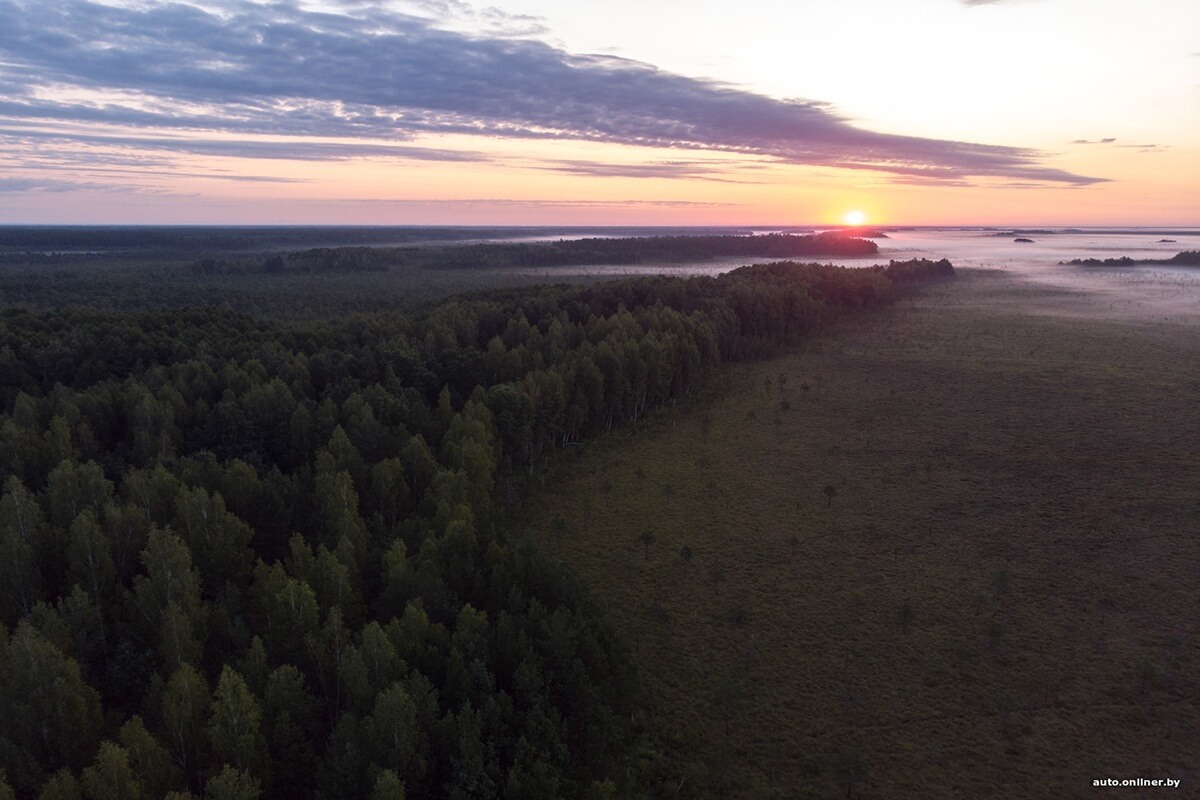 Путешествия Onliner.by с Bestune T77. Рассвет на болоте, царь-сосна и барсучьи норы. Вместе с королевой Полесья исследуем долину Припяти на FAW BESTUNE T77 Путешествия Onliner.by с Bestune T77. Рассвет на болоте, царь-сосна и барсучьи норы. Вместе с королевой Полесья исследуем долину Припяти на FAW BESTUNE T77