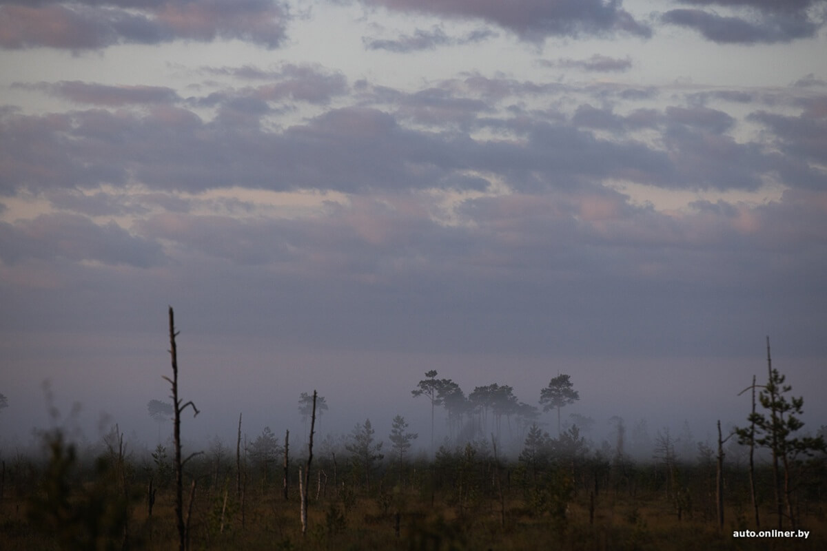 Путешествия Onliner.by с Bestune T77. Рассвет на болоте, царь-сосна и барсучьи норы. Вместе с королевой Полесья исследуем долину Припяти на FAW BESTUNE T77 Путешествия Onliner.by с Bestune T77. Рассвет на болоте, царь-сосна и барсучьи норы. Вместе с королевой Полесья исследуем долину Припяти на FAW BESTUNE T77