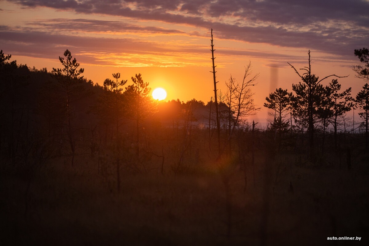 Путешествия Onliner.by с Bestune T77. Рассвет на болоте, царь-сосна и барсучьи норы. Вместе с королевой Полесья исследуем долину Припяти на FAW BESTUNE T77 Путешествия Onliner.by с Bestune T77. Рассвет на болоте, царь-сосна и барсучьи норы. Вместе с королевой Полесья исследуем долину Припяти на FAW BESTUNE T77
