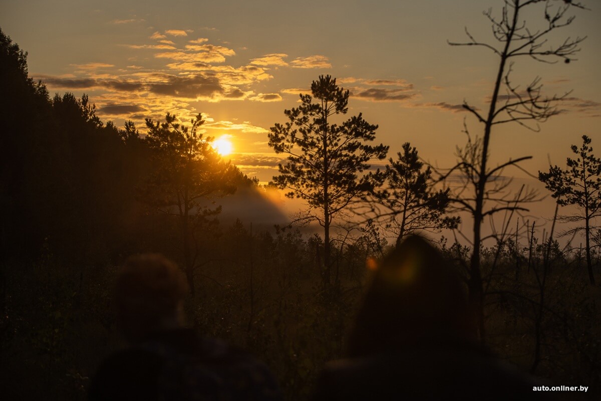 Путешествия Onliner.by с Bestune T77. Рассвет на болоте, царь-сосна и барсучьи норы. Вместе с королевой Полесья исследуем долину Припяти на FAW BESTUNE T77 Путешествия Onliner.by с Bestune T77. Рассвет на болоте, царь-сосна и барсучьи норы. Вместе с королевой Полесья исследуем долину Припяти на FAW BESTUNE T77