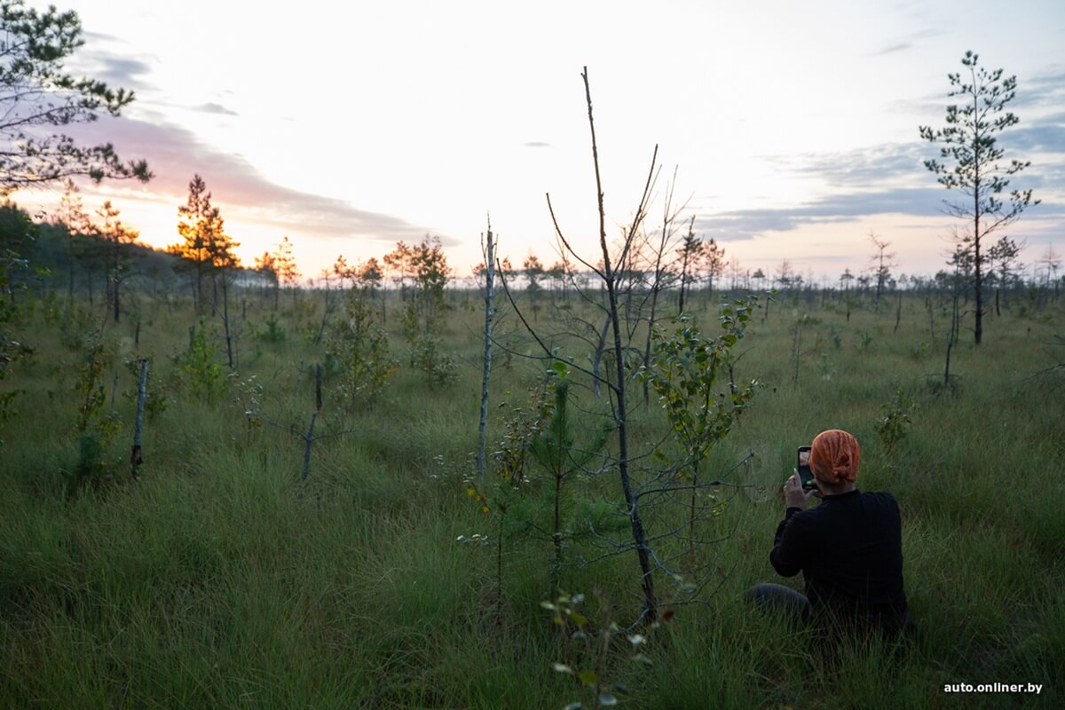 Путешествия Onliner.by с Bestune T77. Рассвет на болоте, царь-сосна и барсучьи норы. Вместе с королевой Полесья исследуем долину Припяти на FAW BESTUNE T77 Путешествия Onliner.by с Bestune T77. Рассвет на болоте, царь-сосна и барсучьи норы. Вместе с королевой Полесья исследуем долину Припяти на FAW BESTUNE T77