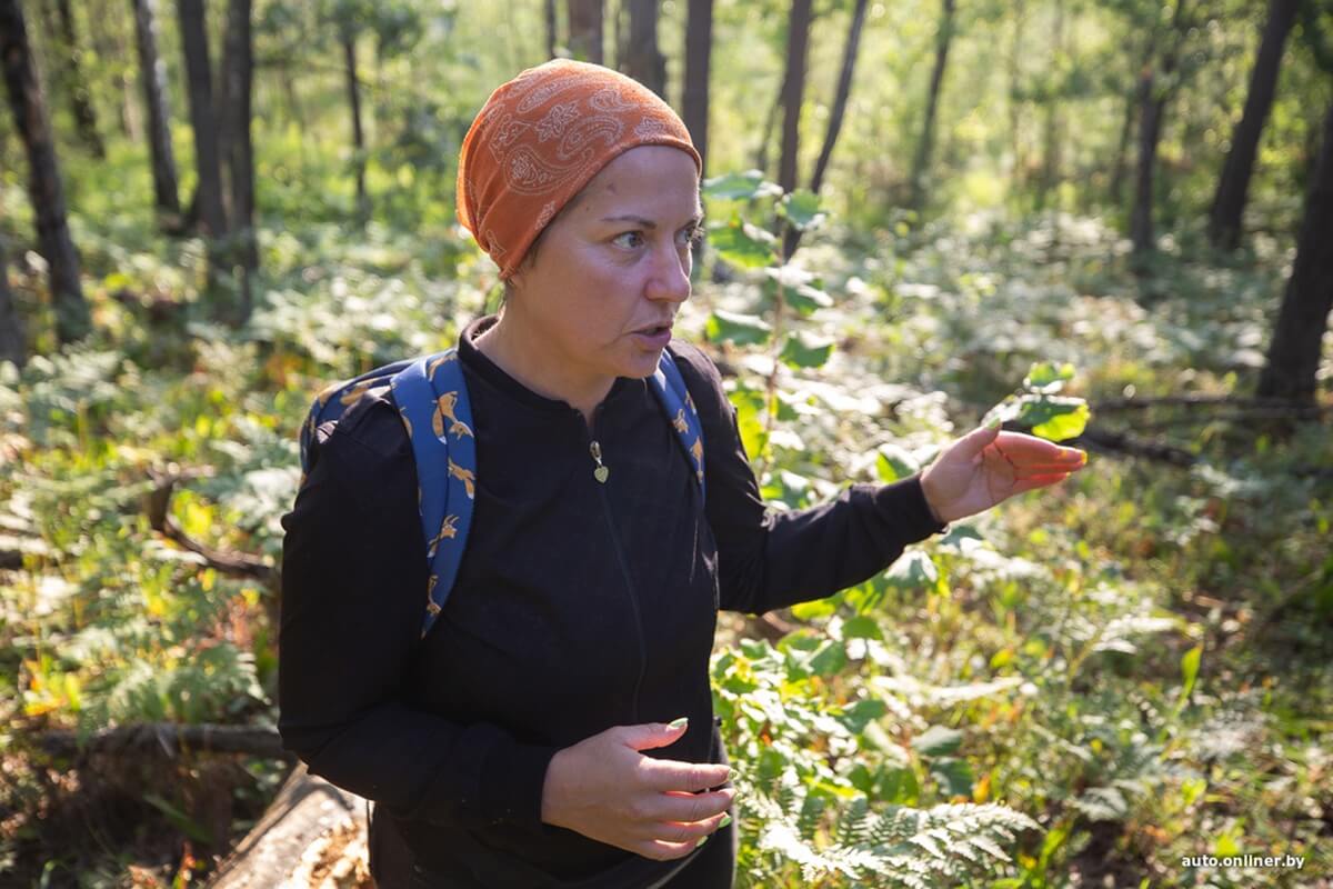 Путешествия Onliner.by с Bestune T77. Рассвет на болоте, царь-сосна и барсучьи норы. Вместе с королевой Полесья исследуем долину Припяти на FAW BESTUNE T77 Путешествия Onliner.by с Bestune T77. Рассвет на болоте, царь-сосна и барсучьи норы. Вместе с королевой Полесья исследуем долину Припяти на FAW BESTUNE T77