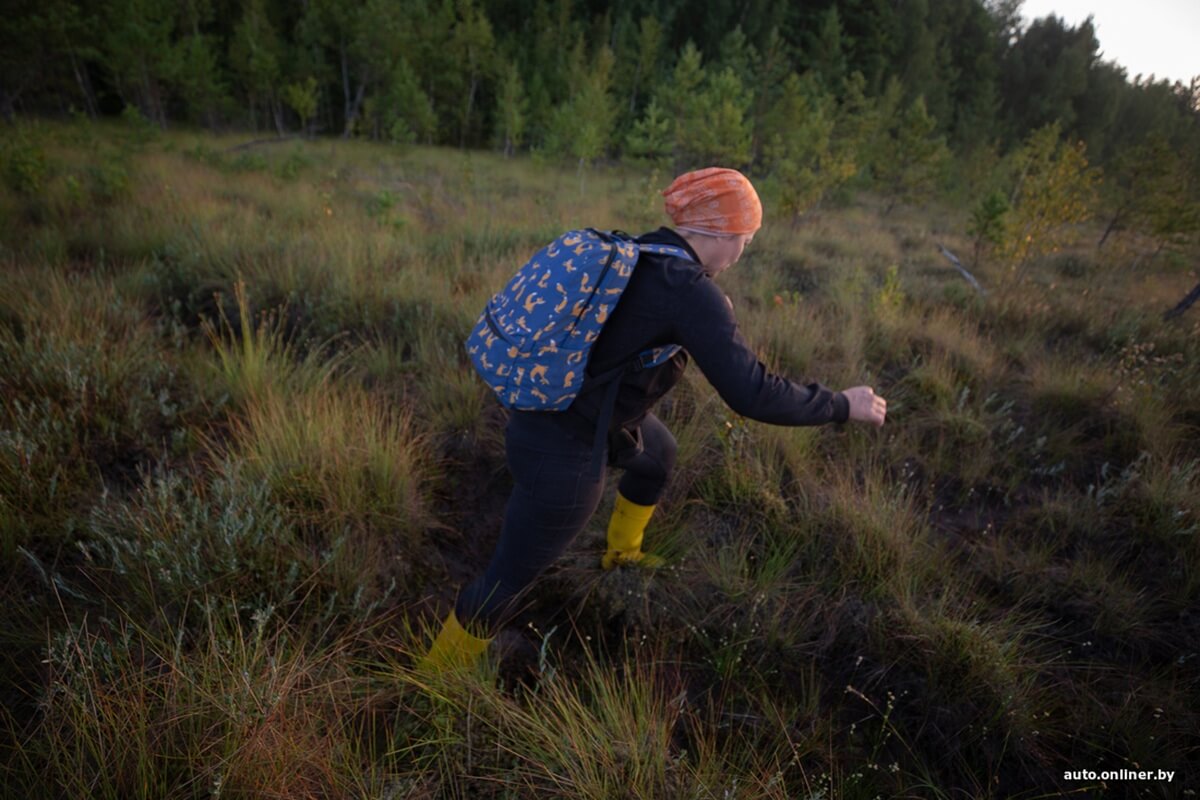 Путешествия Onliner.by с Bestune T77. Рассвет на болоте, царь-сосна и барсучьи норы. Вместе с королевой Полесья исследуем долину Припяти на FAW BESTUNE T77 Путешествия Onliner.by с Bestune T77. Рассвет на болоте, царь-сосна и барсучьи норы. Вместе с королевой Полесья исследуем долину Припяти на FAW BESTUNE T77