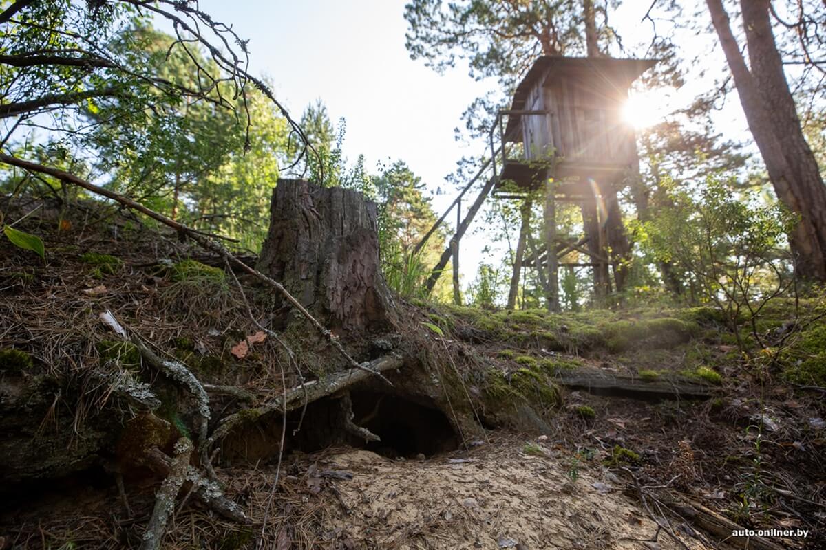 Путешествия Onliner.by с Bestune T77. Рассвет на болоте, царь-сосна и барсучьи норы. Вместе с королевой Полесья исследуем долину Припяти на FAW BESTUNE T77 Путешествия Onliner.by с Bestune T77. Рассвет на болоте, царь-сосна и барсучьи норы. Вместе с королевой Полесья исследуем долину Припяти на FAW BESTUNE T77