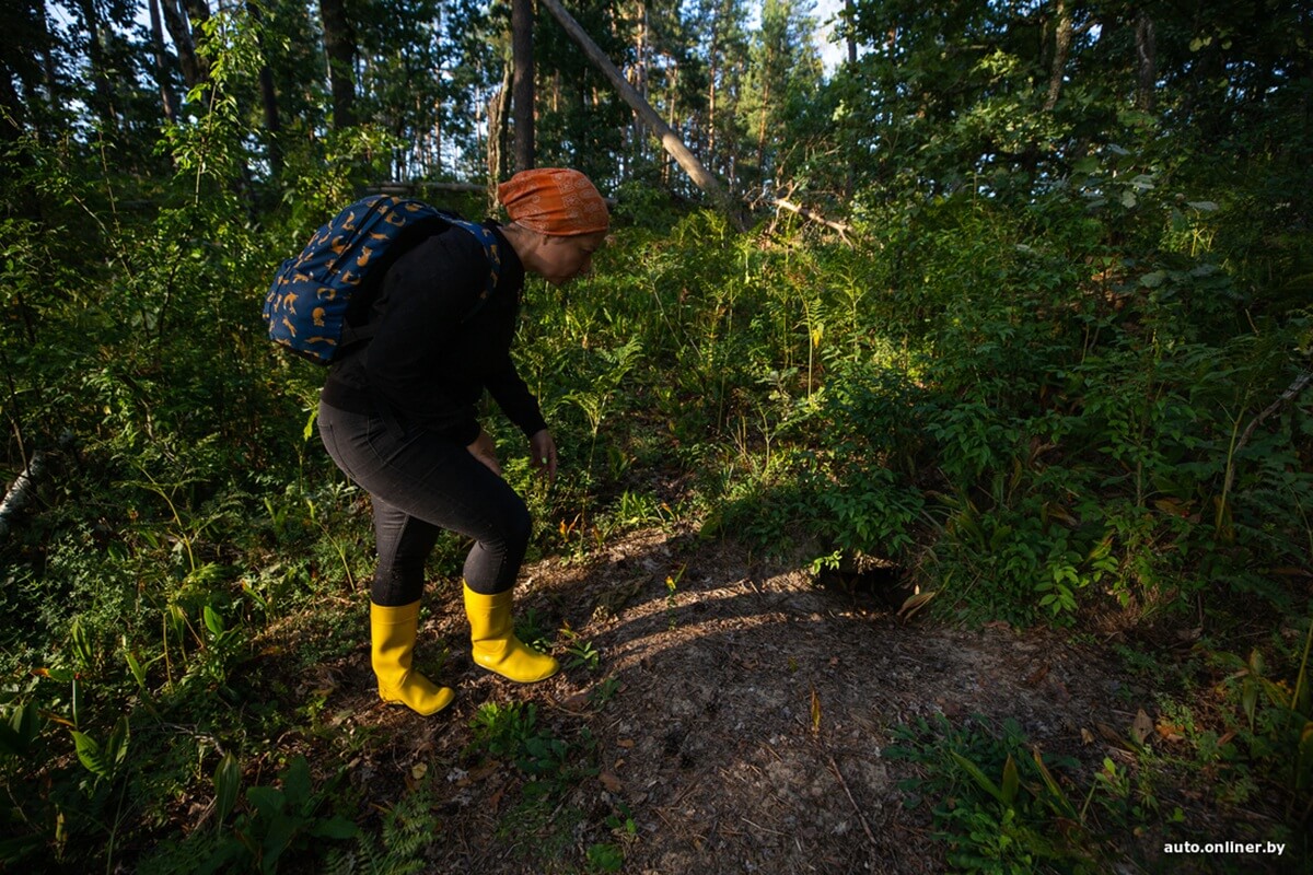 Путешествия Onliner.by с Bestune T77. Рассвет на болоте, царь-сосна и барсучьи норы. Вместе с королевой Полесья исследуем долину Припяти на FAW BESTUNE T77 Путешествия Onliner.by с Bestune T77. Рассвет на болоте, царь-сосна и барсучьи норы. Вместе с королевой Полесья исследуем долину Припяти на FAW BESTUNE T77