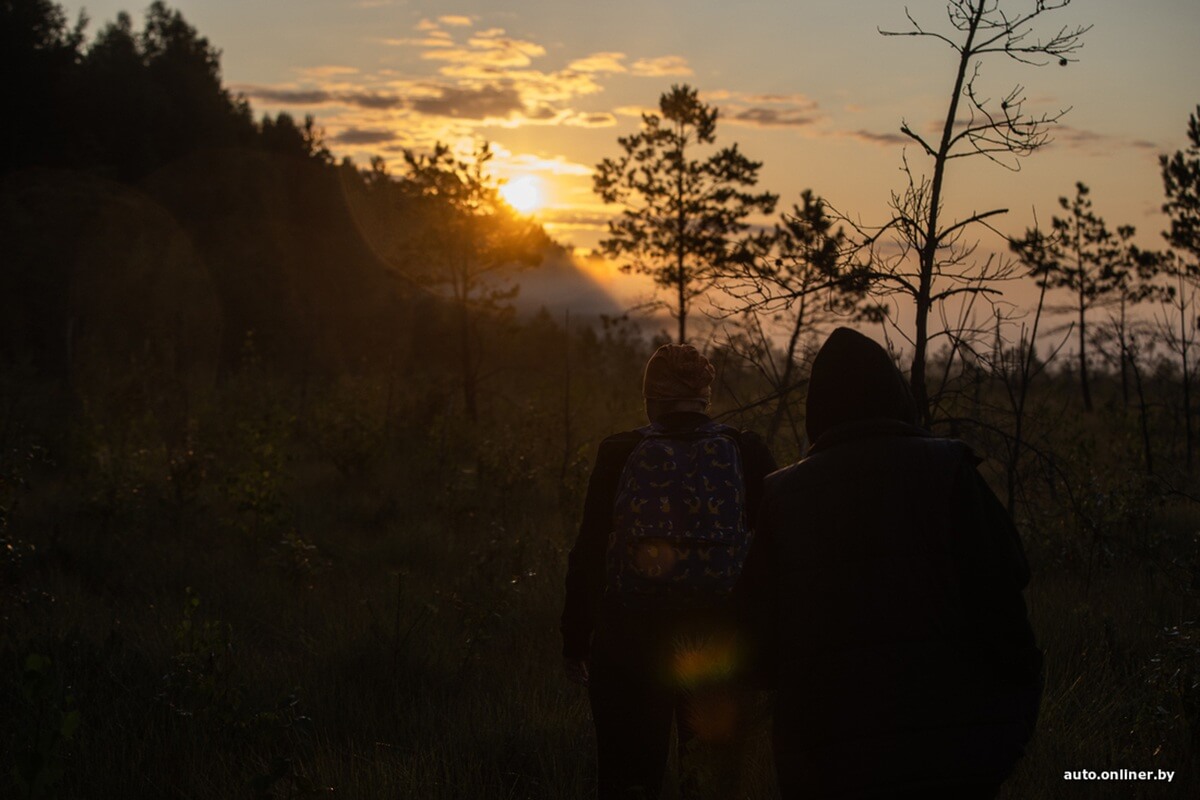 Путешествия Onliner.by с Bestune T77. Рассвет на болоте, царь-сосна и барсучьи норы. Вместе с королевой Полесья исследуем долину Припяти на FAW BESTUNE T77 Путешествия Onliner.by с Bestune T77. Рассвет на болоте, царь-сосна и барсучьи норы. Вместе с королевой Полесья исследуем долину Припяти на FAW BESTUNE T77