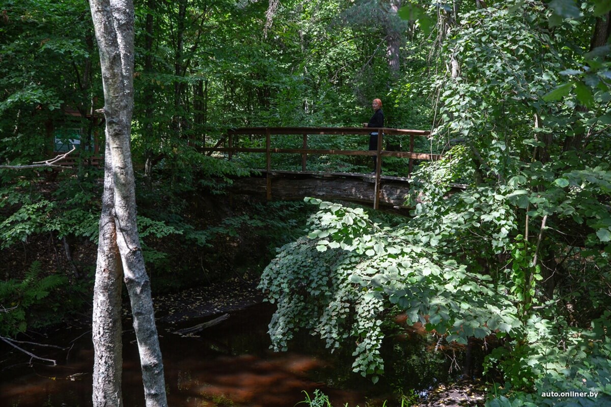 Путешествия Onliner.by с Bestune T77. Рассвет на болоте, царь-сосна и барсучьи норы. Вместе с королевой Полесья исследуем долину Припяти на FAW BESTUNE T77 Путешествия Onliner.by с Bestune T77. Рассвет на болоте, царь-сосна и барсучьи норы. Вместе с королевой Полесья исследуем долину Припяти на FAW BESTUNE T77