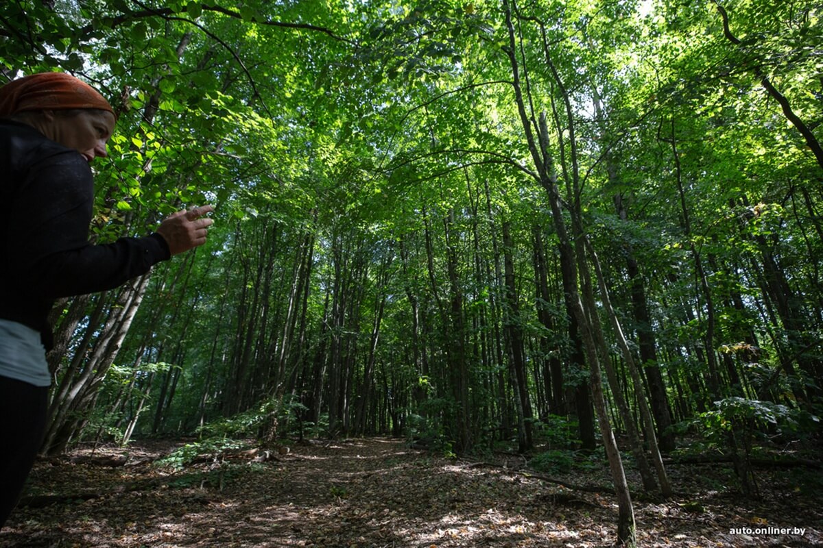 Путешествия Onliner.by с Bestune T77. Рассвет на болоте, царь-сосна и барсучьи норы. Вместе с королевой Полесья исследуем долину Припяти на FAW BESTUNE T77 Путешествия Onliner.by с Bestune T77. Рассвет на болоте, царь-сосна и барсучьи норы. Вместе с королевой Полесья исследуем долину Припяти на FAW BESTUNE T77