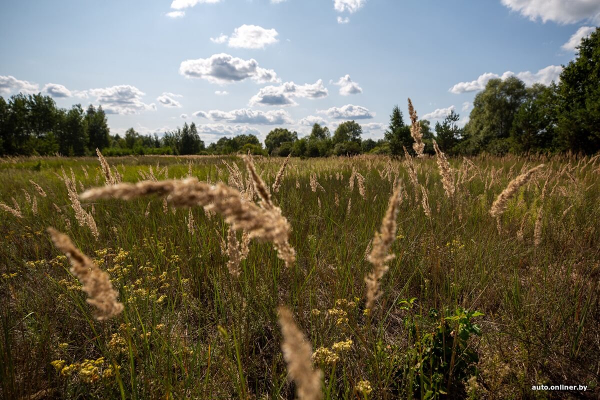 Путешествия Onliner.by с Bestune T77. Рассвет на болоте, царь-сосна и барсучьи норы. Вместе с королевой Полесья исследуем долину Припяти на FAW BESTUNE T77 Путешествия Onliner.by с Bestune T77. Рассвет на болоте, царь-сосна и барсучьи норы. Вместе с королевой Полесья исследуем долину Припяти на FAW BESTUNE T77