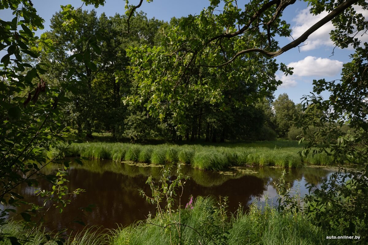 Путешествия Onliner.by с Bestune T77. Рассвет на болоте, царь-сосна и барсучьи норы. Вместе с королевой Полесья исследуем долину Припяти на FAW BESTUNE T77 Путешествия Onliner.by с Bestune T77. Рассвет на болоте, царь-сосна и барсучьи норы. Вместе с королевой Полесья исследуем долину Припяти на FAW BESTUNE T77