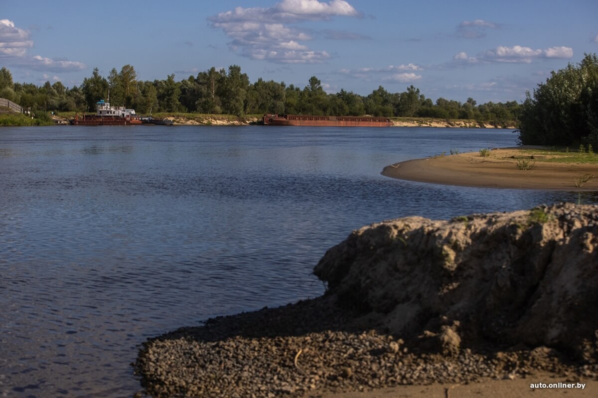 Путешествия Onliner.by с Bestune T77. Рассвет на болоте, царь-сосна и барсучьи норы. Вместе с королевой Полесья исследуем долину Припяти на FAW BESTUNE T77 Путешествия Onliner.by с Bestune T77. Рассвет на болоте, царь-сосна и барсучьи норы. Вместе с королевой Полесья исследуем долину Припяти на FAW BESTUNE T77