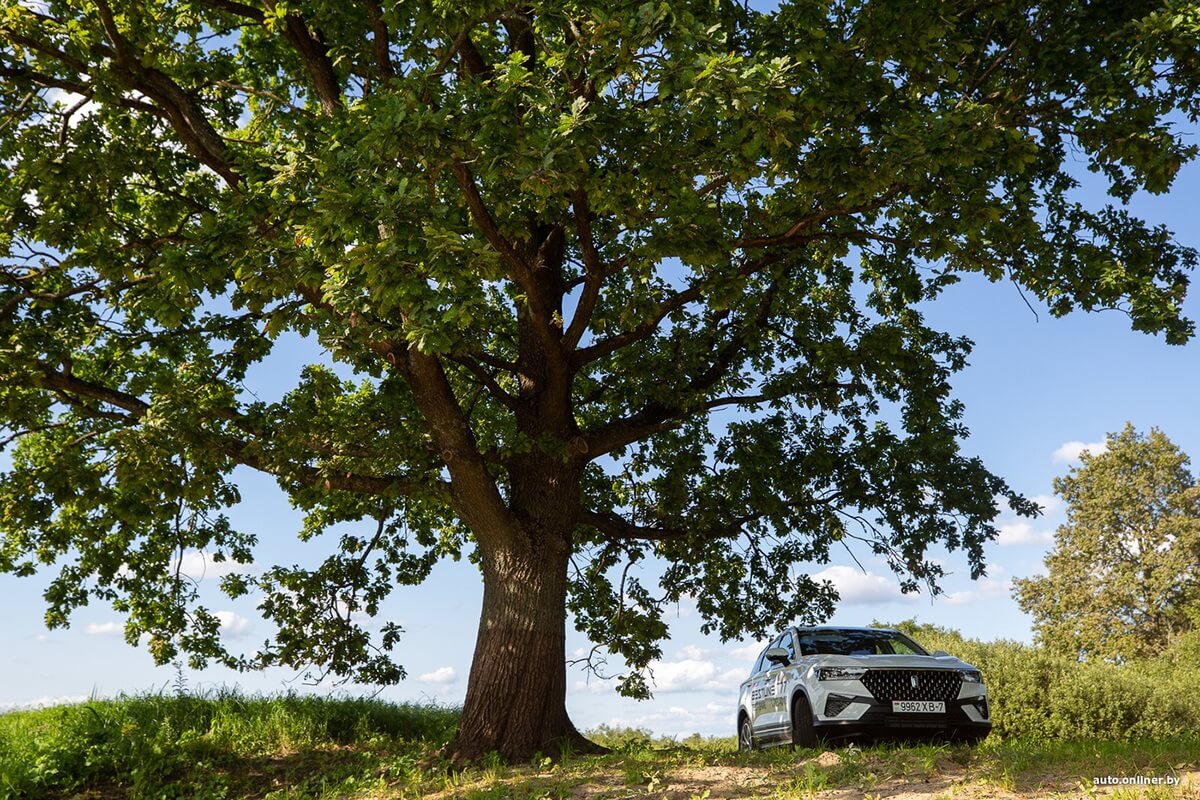 Путешествия Onliner.by с Bestune T77. Рассвет на болоте, царь-сосна и барсучьи норы. Вместе с королевой Полесья исследуем долину Припяти на FAW BESTUNE T77 Путешествия Onliner.by с Bestune T77. Рассвет на болоте, царь-сосна и барсучьи норы. Вместе с королевой Полесья исследуем долину Припяти на FAW BESTUNE T77