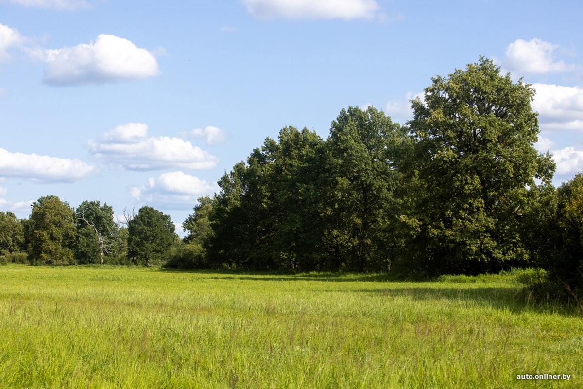 Путешествия Onliner.by с Bestune T77. Рассвет на болоте, царь-сосна и барсучьи норы. Вместе с королевой Полесья исследуем долину Припяти на FAW BESTUNE T77 Путешествия Onliner.by с Bestune T77. Рассвет на болоте, царь-сосна и барсучьи норы. Вместе с королевой Полесья исследуем долину Припяти на FAW BESTUNE T77