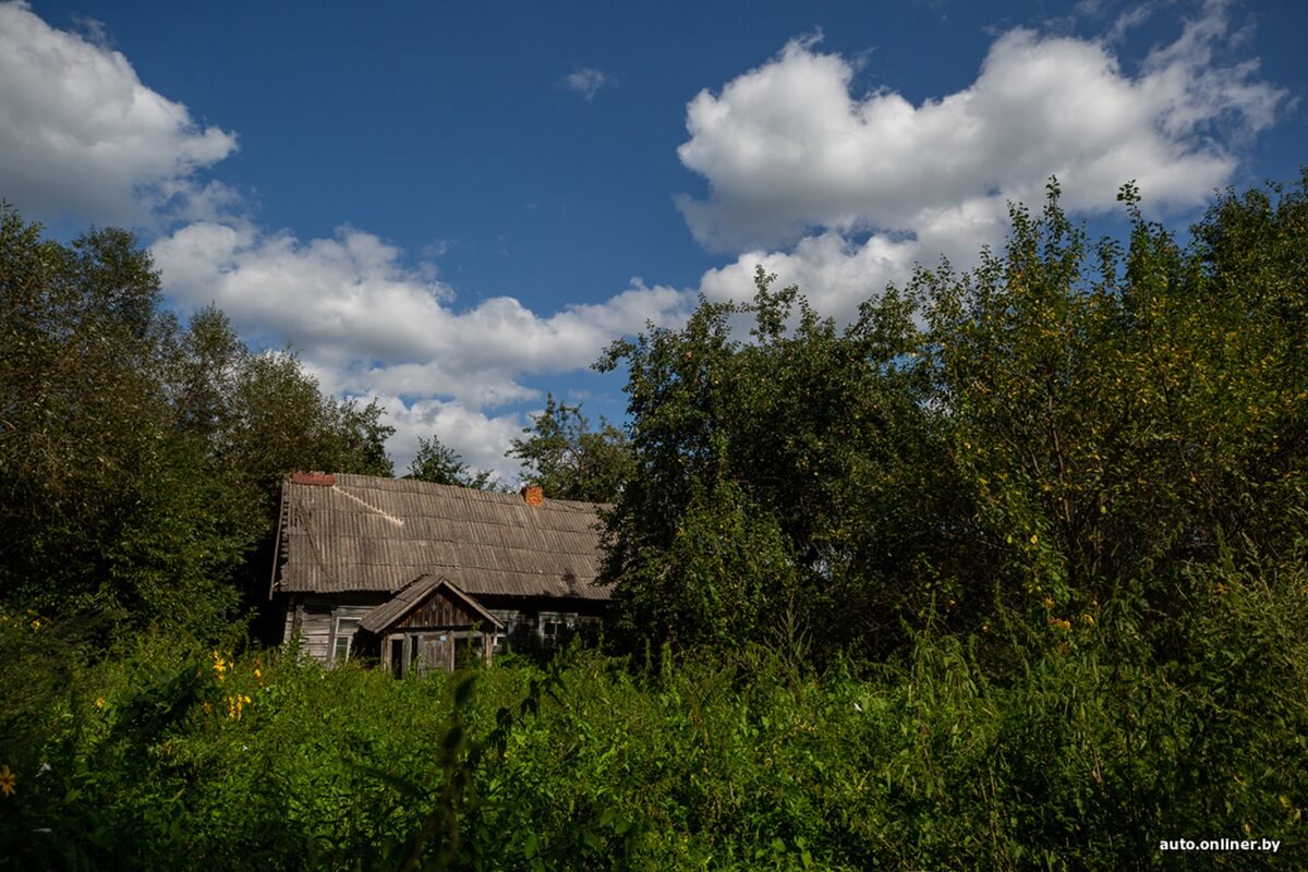 Путешествия Onliner.by с Bestune T77. Рассвет на болоте, царь-сосна и барсучьи норы. Вместе с королевой Полесья исследуем долину Припяти на FAW BESTUNE T77 Путешествия Onliner.by с Bestune T77. Рассвет на болоте, царь-сосна и барсучьи норы. Вместе с королевой Полесья исследуем долину Припяти на FAW BESTUNE T77