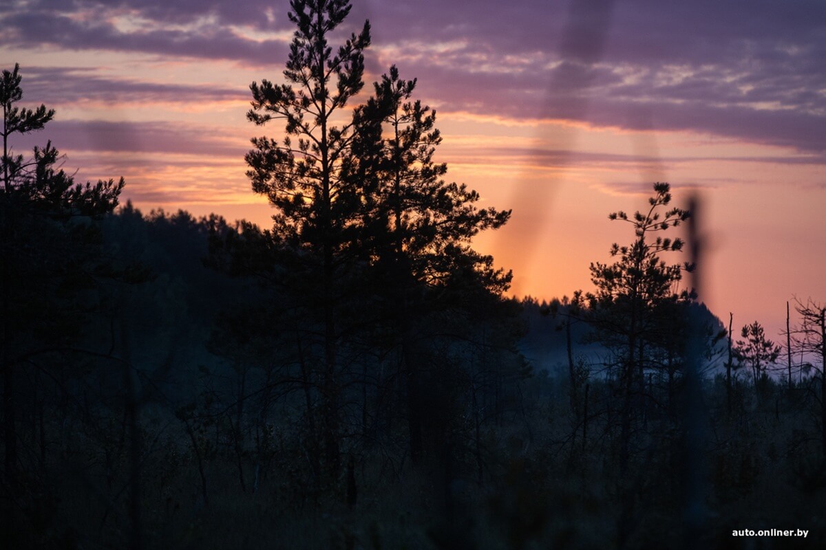 Путешествия Onliner.by с Bestune T77. Рассвет на болоте, царь-сосна и барсучьи норы. Вместе с королевой Полесья исследуем долину Припяти на FAW BESTUNE T77 Путешествия Onliner.by с Bestune T77. Рассвет на болоте, царь-сосна и барсучьи норы. Вместе с королевой Полесья исследуем долину Припяти на FAW BESTUNE T77