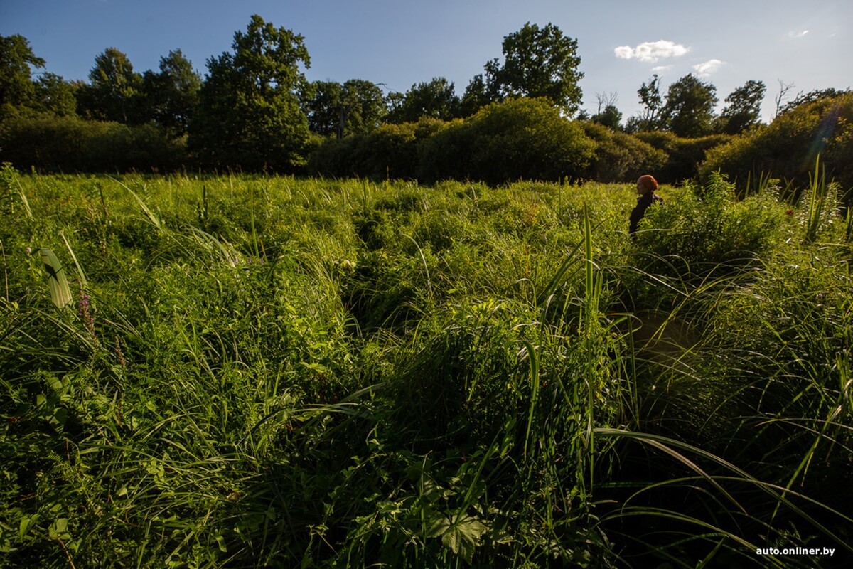 Путешествия Onliner.by с Bestune T77. Рассвет на болоте, царь-сосна и барсучьи норы. Вместе с королевой Полесья исследуем долину Припяти на FAW BESTUNE T77 Путешествия Onliner.by с Bestune T77. Рассвет на болоте, царь-сосна и барсучьи норы. Вместе с королевой Полесья исследуем долину Припяти на FAW BESTUNE T77