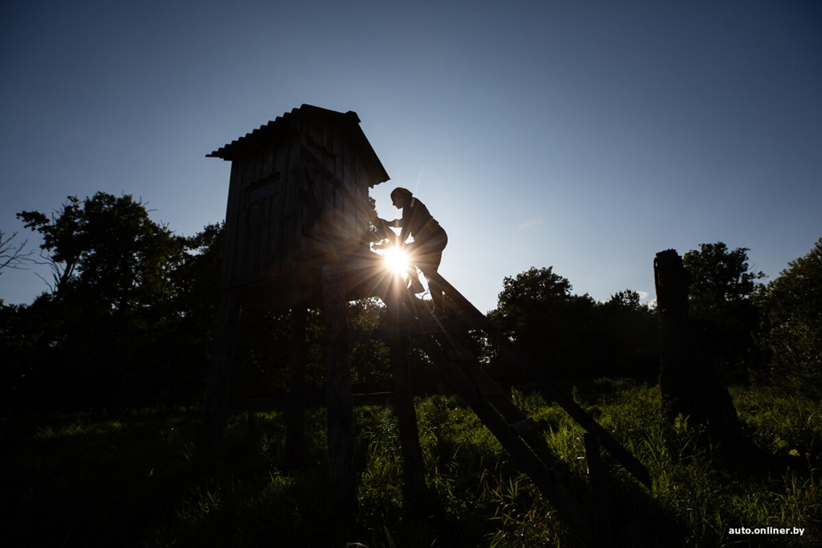 Путешествия Onliner.by с Bestune T77. Рассвет на болоте, царь-сосна и барсучьи норы. Вместе с королевой Полесья исследуем долину Припяти на FAW BESTUNE T77 Путешествия Onliner.by с Bestune T77. Рассвет на болоте, царь-сосна и барсучьи норы. Вместе с королевой Полесья исследуем долину Припяти на FAW BESTUNE T77