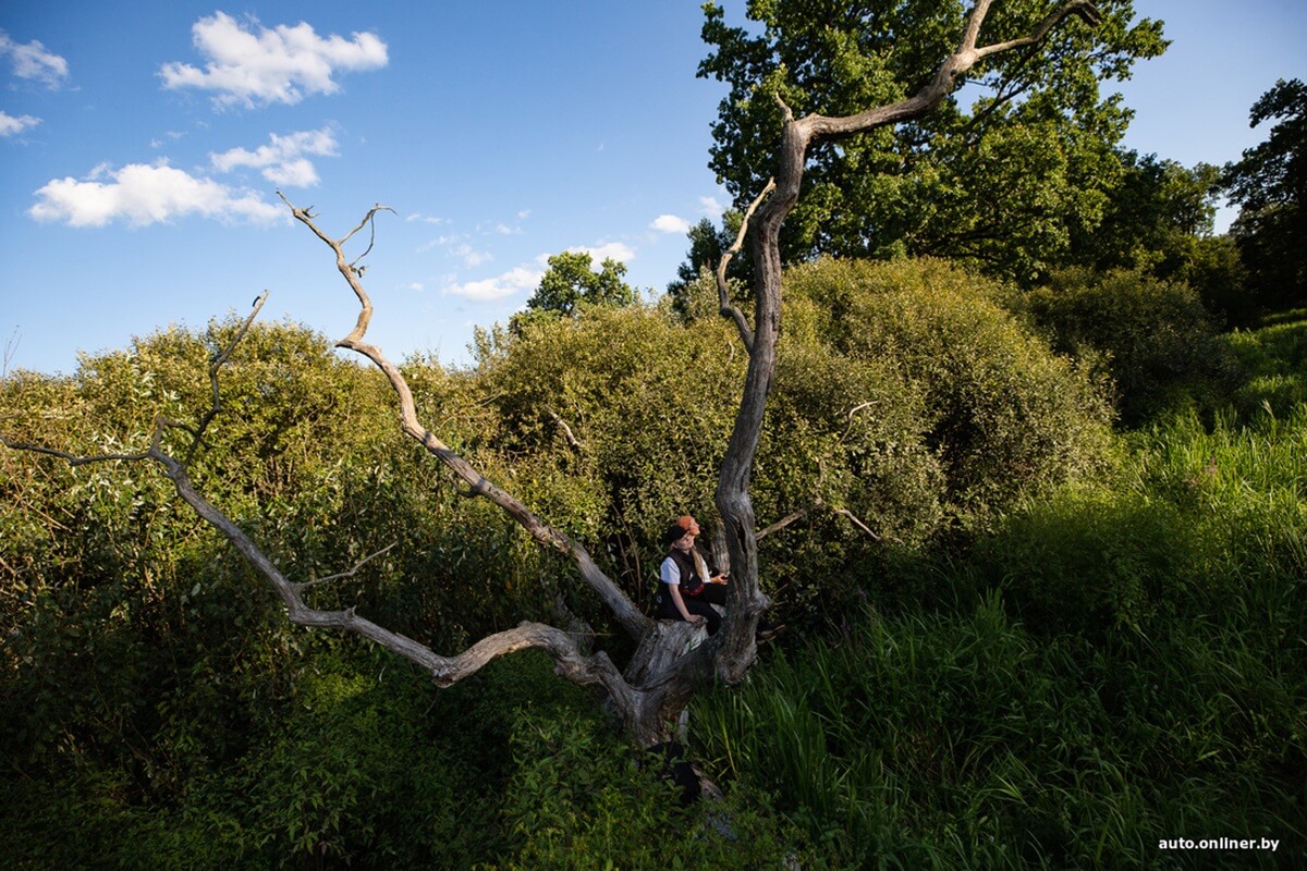 Путешествия Onliner.by с Bestune T77. Рассвет на болоте, царь-сосна и барсучьи норы. Вместе с королевой Полесья исследуем долину Припяти на FAW BESTUNE T77 Путешествия Onliner.by с Bestune T77. Рассвет на болоте, царь-сосна и барсучьи норы. Вместе с королевой Полесья исследуем долину Припяти на FAW BESTUNE T77