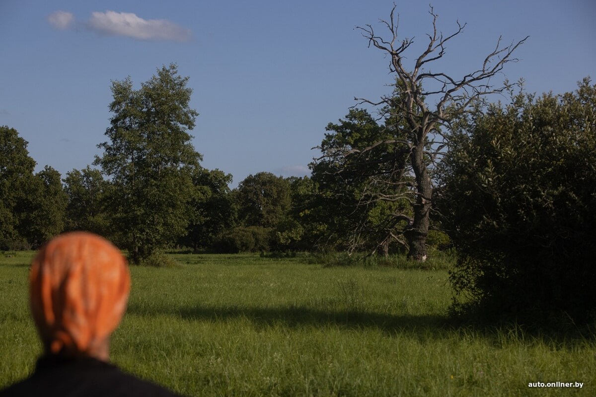 Путешествия Onliner.by с Bestune T77. Рассвет на болоте, царь-сосна и барсучьи норы. Вместе с королевой Полесья исследуем долину Припяти на FAW BESTUNE T77 Путешествия Onliner.by с Bestune T77. Рассвет на болоте, царь-сосна и барсучьи норы. Вместе с королевой Полесья исследуем долину Припяти на FAW BESTUNE T77