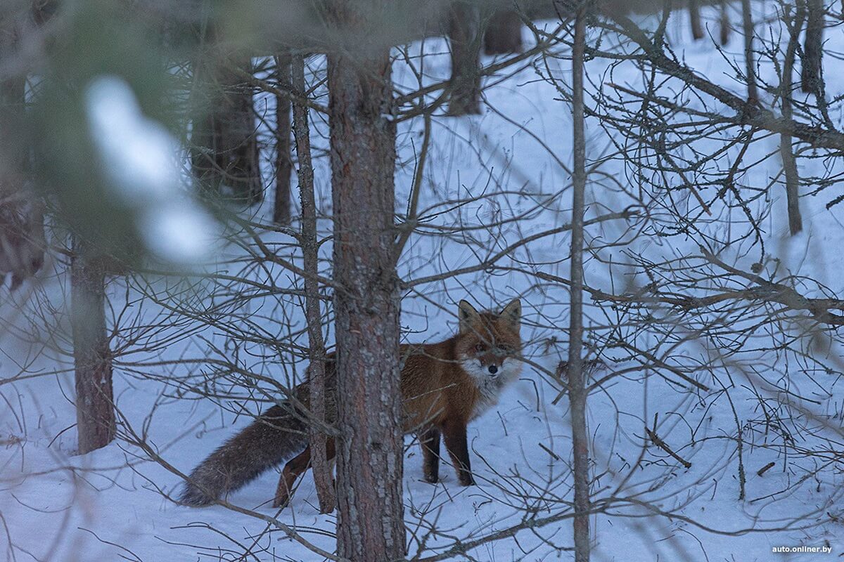 Лучший рассвет в этой части Вселенной! Onliner.by съездил на главный курорт страны в несезон Лучший рассвет в этой части Вселенной! Onliner.by съездил на главный курорт страны в несезон
