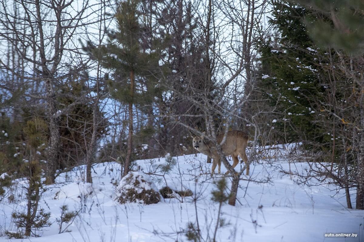 Лучший рассвет в этой части Вселенной! Onliner.by съездил на главный курорт страны в несезон Лучший рассвет в этой части Вселенной! Onliner.by съездил на главный курорт страны в несезон