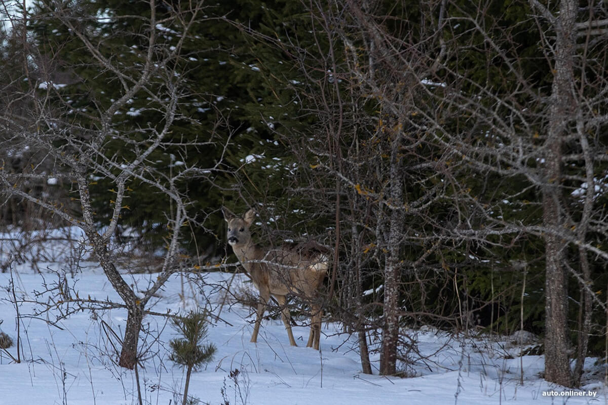 Лучший рассвет в этой части Вселенной! Onliner.by съездил на главный курорт страны в несезон Лучший рассвет в этой части Вселенной! Onliner.by съездил на главный курорт страны в несезон