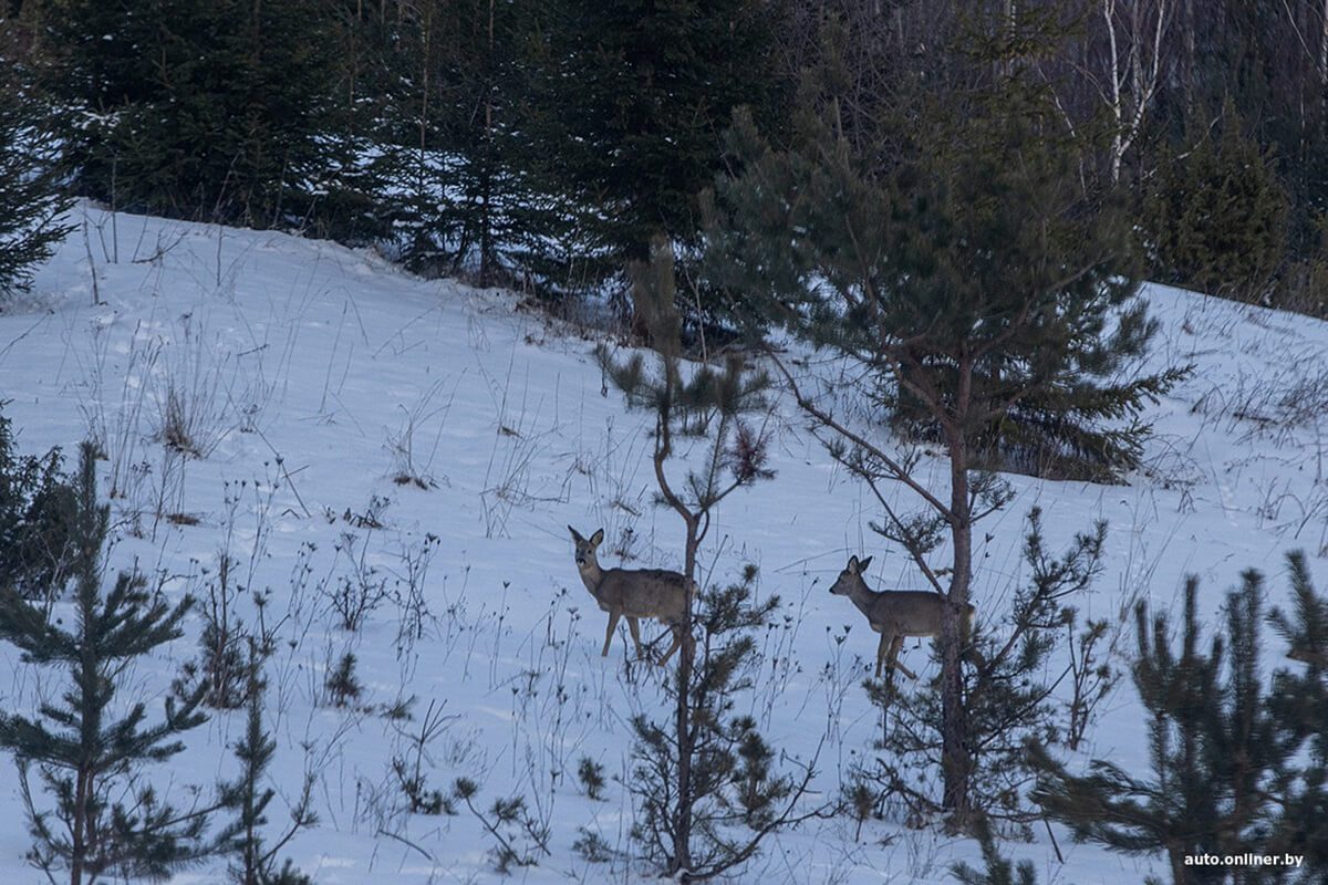Лучший рассвет в этой части Вселенной! Onliner.by съездил на главный курорт страны в несезон Лучший рассвет в этой части Вселенной! Onliner.by съездил на главный курорт страны в несезон