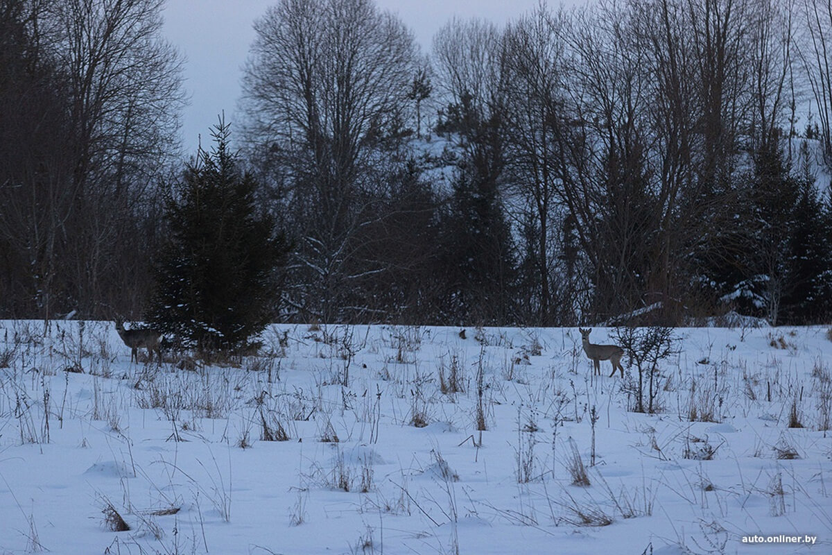 Лучший рассвет в этой части Вселенной! Onliner.by съездил на главный курорт страны в несезон Лучший рассвет в этой части Вселенной! Onliner.by съездил на главный курорт страны в несезон