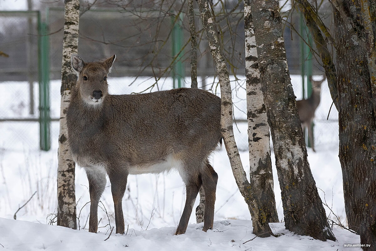 Лучший рассвет в этой части Вселенной! Onliner.by съездил на главный курорт страны в несезон Лучший рассвет в этой части Вселенной! Onliner.by съездил на главный курорт страны в несезон