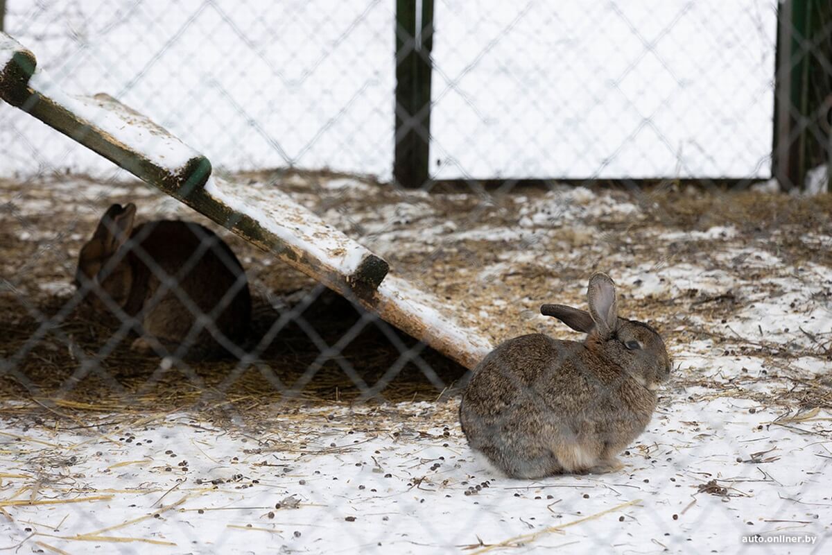 Лучший рассвет в этой части Вселенной! Onliner.by съездил на главный курорт страны в несезон Лучший рассвет в этой части Вселенной! Onliner.by съездил на главный курорт страны в несезон