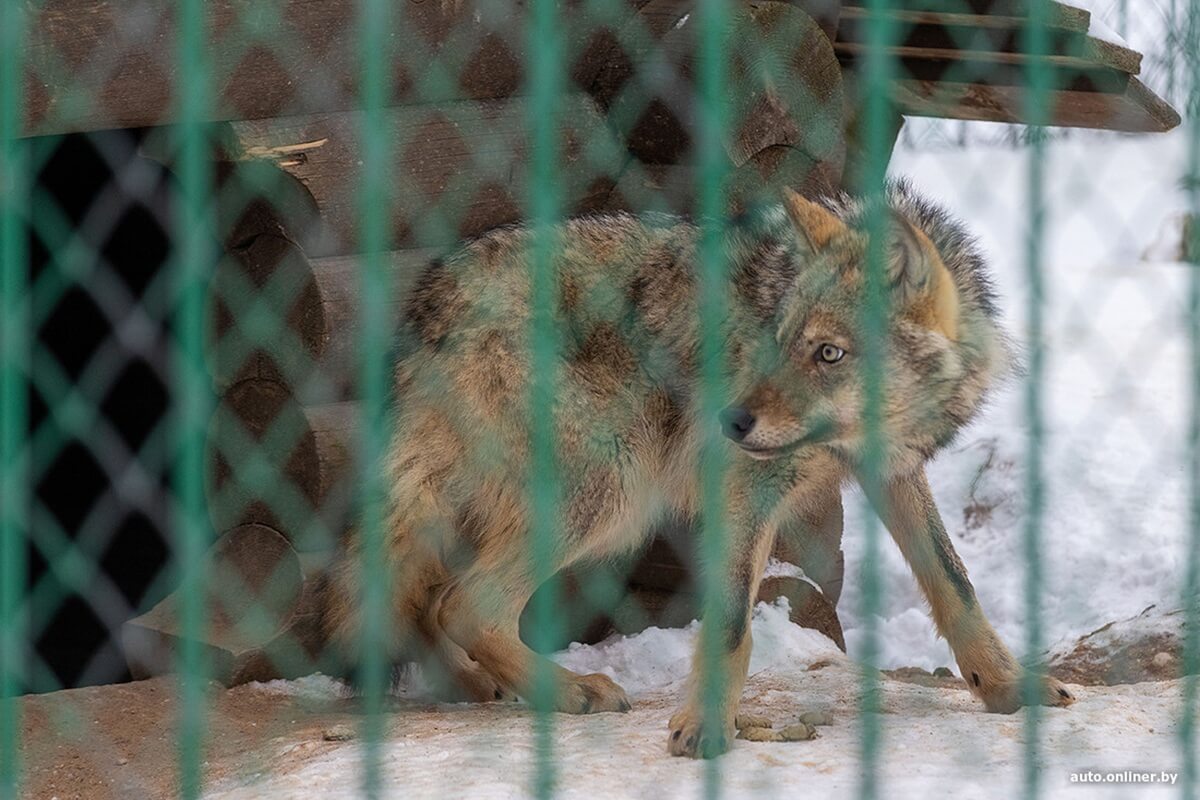 Лучший рассвет в этой части Вселенной! Onliner.by съездил на главный курорт страны в несезон Лучший рассвет в этой части Вселенной! Onliner.by съездил на главный курорт страны в несезон