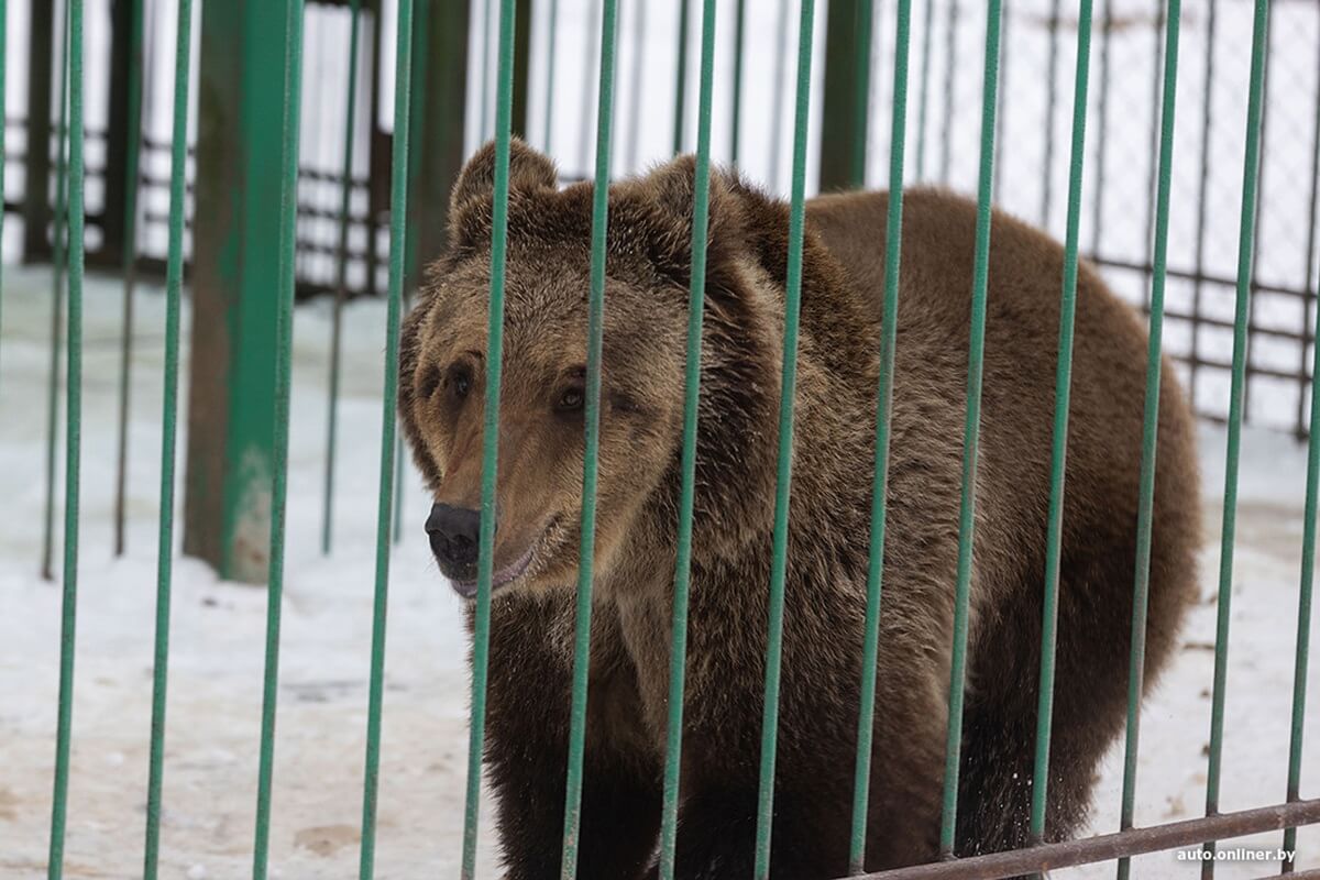 Лучший рассвет в этой части Вселенной! Onliner.by съездил на главный курорт страны в несезон Лучший рассвет в этой части Вселенной! Onliner.by съездил на главный курорт страны в несезон