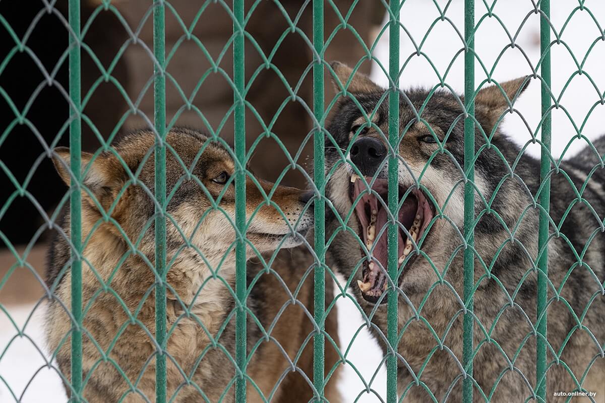 Лучший рассвет в этой части Вселенной! Onliner.by съездил на главный курорт страны в несезон Лучший рассвет в этой части Вселенной! Onliner.by съездил на главный курорт страны в несезон