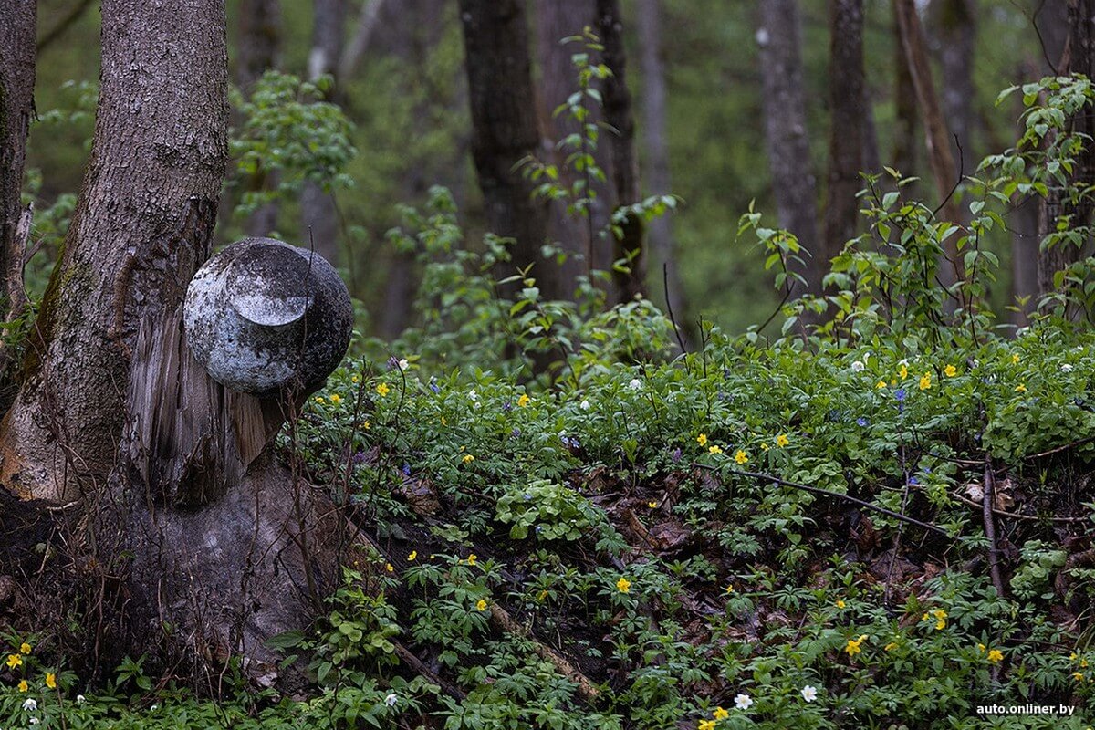 Весенний сплав и FAW Bestune NAT: история про семью экстремалов от Onliner.by Весенний сплав и FAW Bestune NAT: история про семью экстремалов от Onliner.by