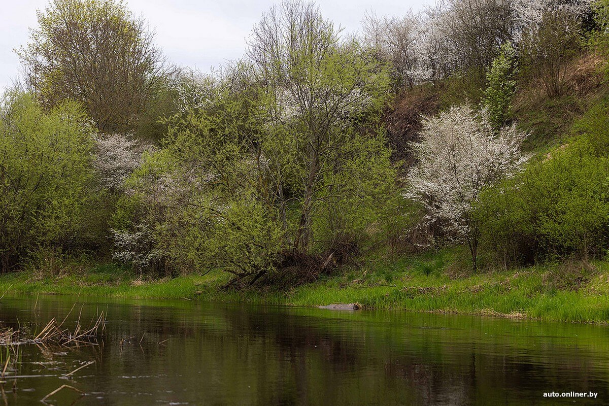 Весенний сплав и FAW Bestune NAT: история про семью экстремалов от Onliner.by Весенний сплав и FAW Bestune NAT: история про семью экстремалов от Onliner.by