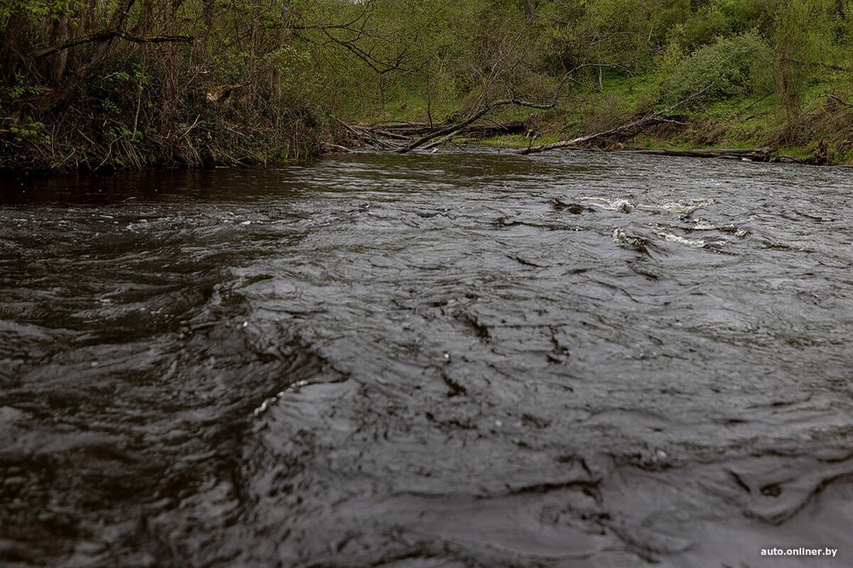 Весенний сплав и FAW Bestune NAT: история про семью экстремалов от Onliner.by Весенний сплав и FAW Bestune NAT: история про семью экстремалов от Onliner.by
