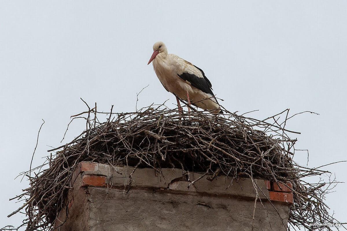 Весенний сплав и FAW Bestune NAT: история про семью экстремалов от Onliner.by Весенний сплав и FAW Bestune NAT: история про семью экстремалов от Onliner.by