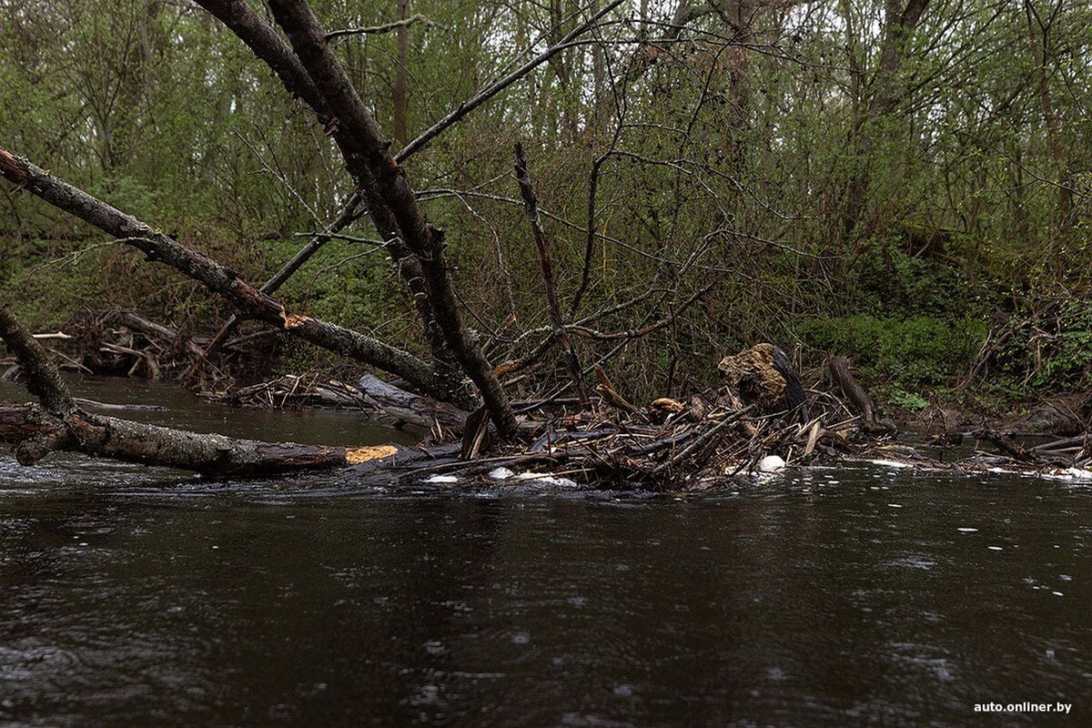 Весенний сплав и FAW Bestune NAT: история про семью экстремалов от Onliner.by Весенний сплав и FAW Bestune NAT: история про семью экстремалов от Onliner.by