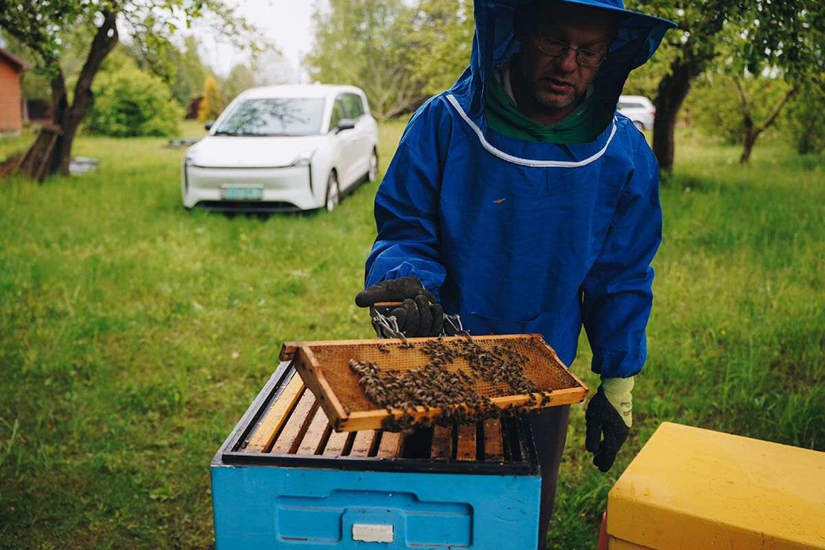 FAW Bestune NAT: 5 причин сделать ставку именно на него