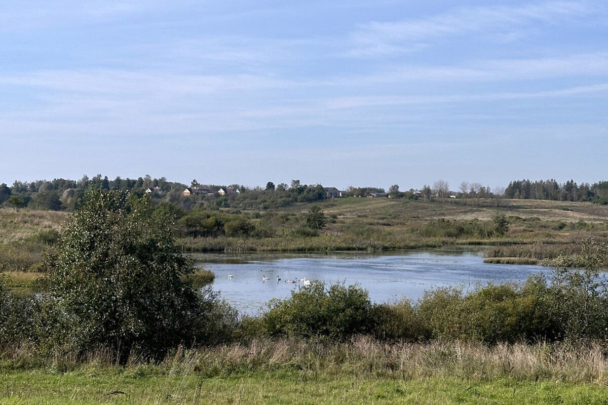 Миссия выполнима? Как показал себя «на дальняке» электрокар с ценой до 60 тысяч рублей Миссия выполнима? Как показал себя «на дальняке» электрокар с ценой до 60 тысяч рублей