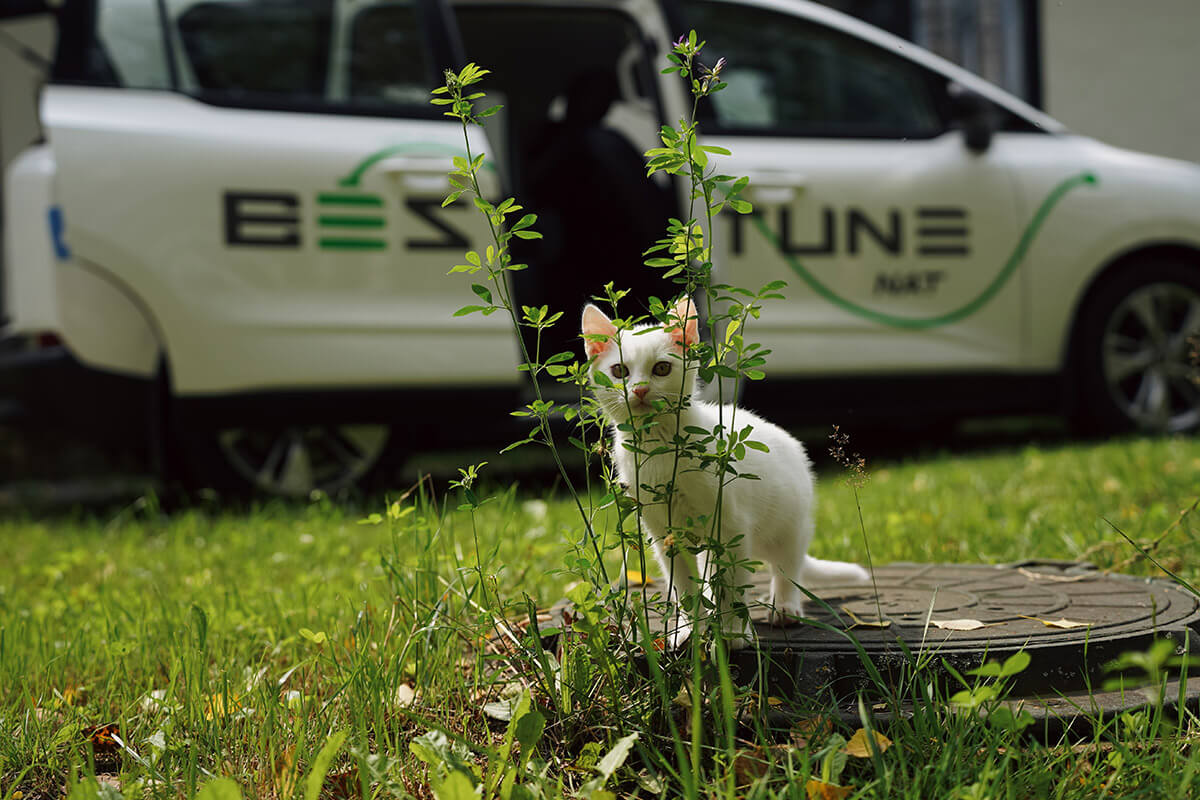 «Для моей работы было бы идеально». Строитель протестировал FAW Bestune NAT и остался приятно удивлен!